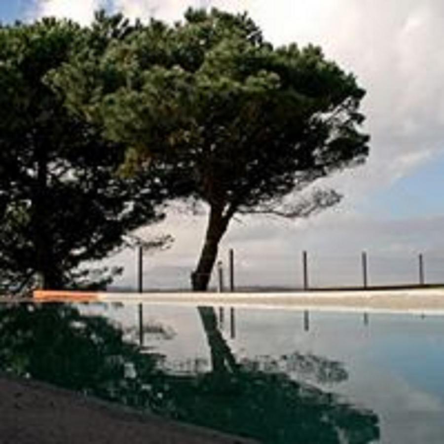 Hotel Shepinetree - Pinheira à Vale de Lobos Extérieur photo